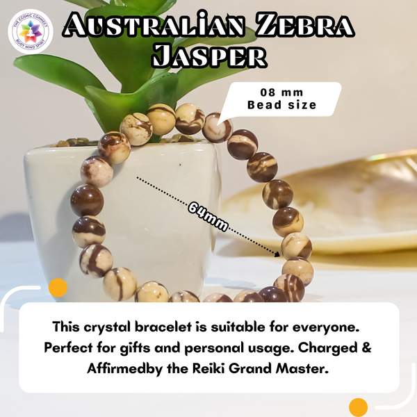 Australian Zebra Jasper Bracelet Balance & Protection | 8mm Beads 4