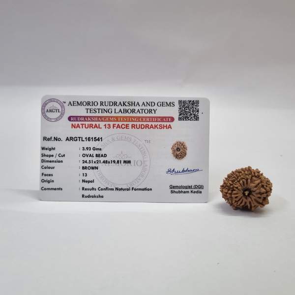 Certified 13 Mukhi Nepali Rudraksh for Attraction, Creativity & Success 2