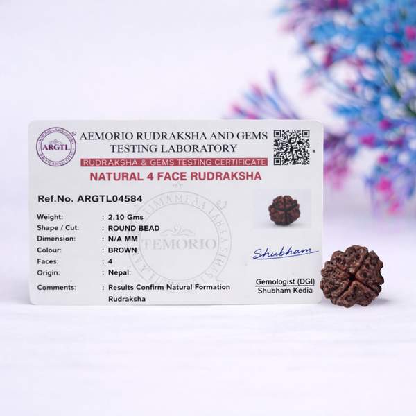 Certified 4 Mukhi Nepali Rudraksh for Knowledge, Communication & Clarity 2