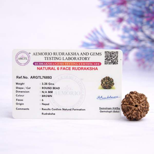 Certified 6 Mukhi Nepali Rudraksh for Discipline, Stability & Focus 2