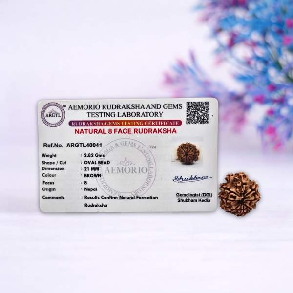 Certified 8 Mukhi Nepali Rudraksh for Wisdom, Clarity & Obstacle Removal 2