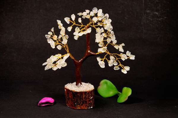 Clear Quartz Crystal Tree Master Healer for Clarity