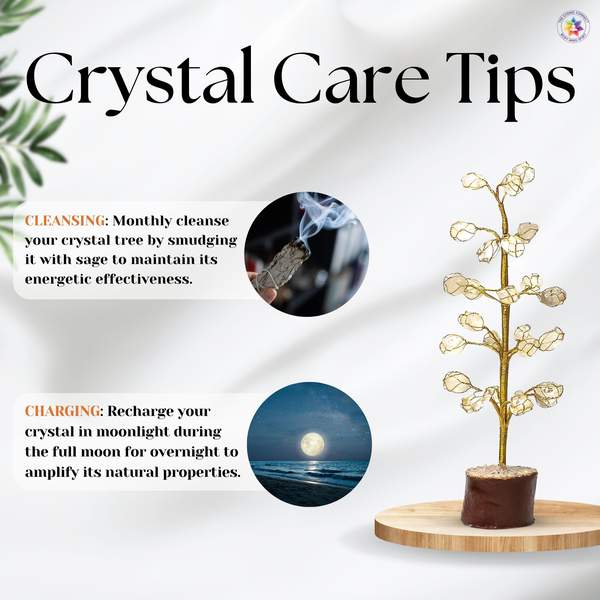Clear Quartz Tumbled Tree for Amplify Intentions, and Clarity 5