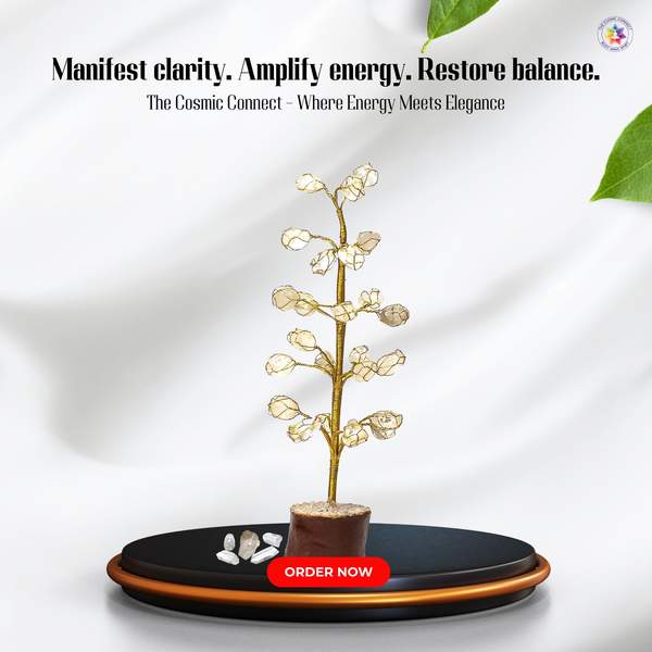 Clear Quartz Tumbled Tree for Amplify Intentions, and Clarity 7