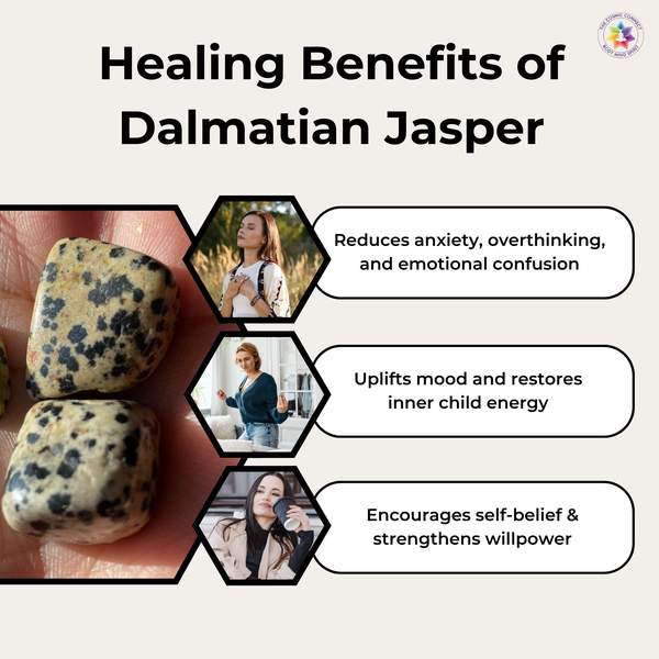 Dalmatian Jasper Bracelet - Clarity & Emotional Balance | 8mm Beads 7