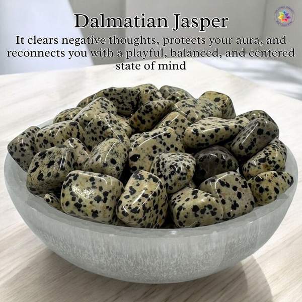 Dalmatian Jasper Crystal Pyramid Unlock Joy, & Protection 3