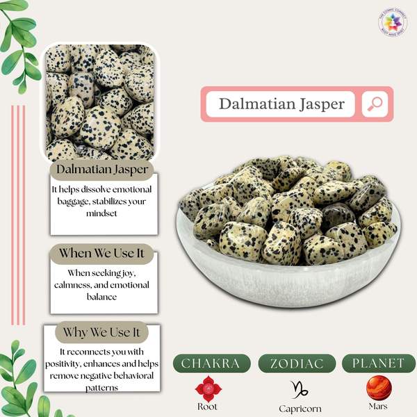 Dalmatian Jasper Crystal Pyramid Unlock Joy, & Protection 4