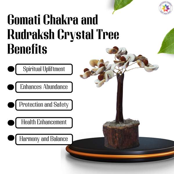 Gomati Chakra & Rudraksha Crystal Tree for Prosperity and Wealth 4