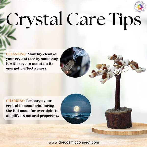 Gomati Chakra & Rudraksha Crystal Tree for Prosperity and Wealth 6