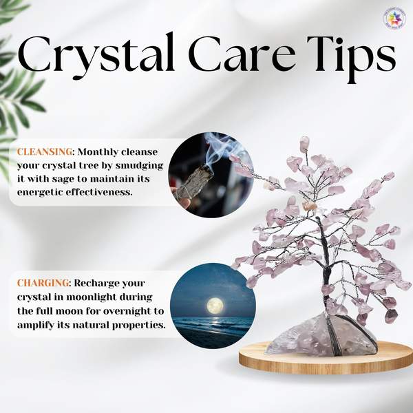 Rose Quartz Cluster Tree for Attracts Love & Emotional Healing 6