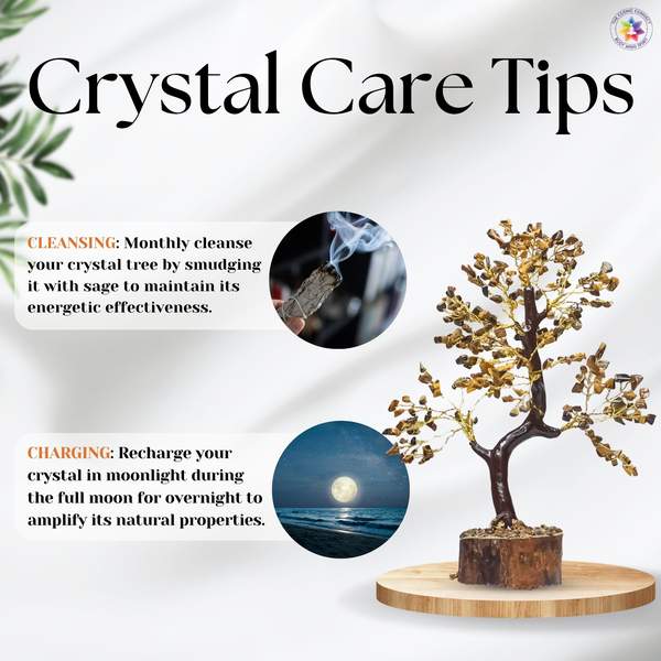 Tiger Eye Crystal Tree for Enhances Confidence, Focus & Grounding 8